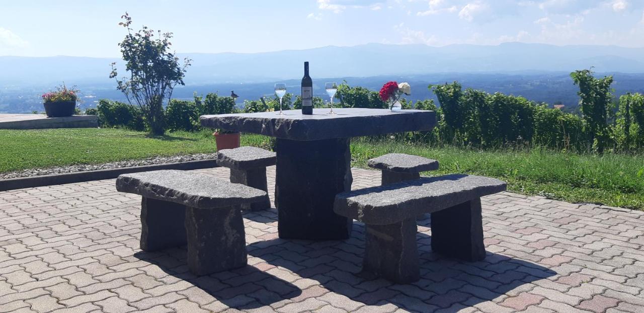 Appartement Wein- Und Weitblick à Gleinstätten Extérieur photo